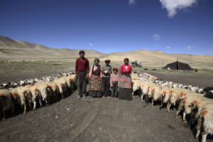 Tibetan pastores nómadas