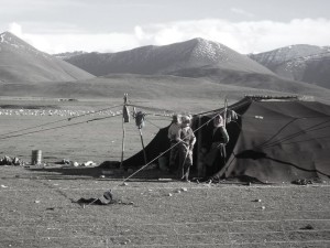 Nómadas tibetanos que viven a una altitud media de 5.000 metros