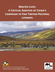 El nuevo informe publicado por el Centro Tibetano para los Derechos Humanos y la Democracia