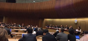 La sesión del Comité Contra la Tortura de las Naciones Unidas en Ginebra en noviembre 2015